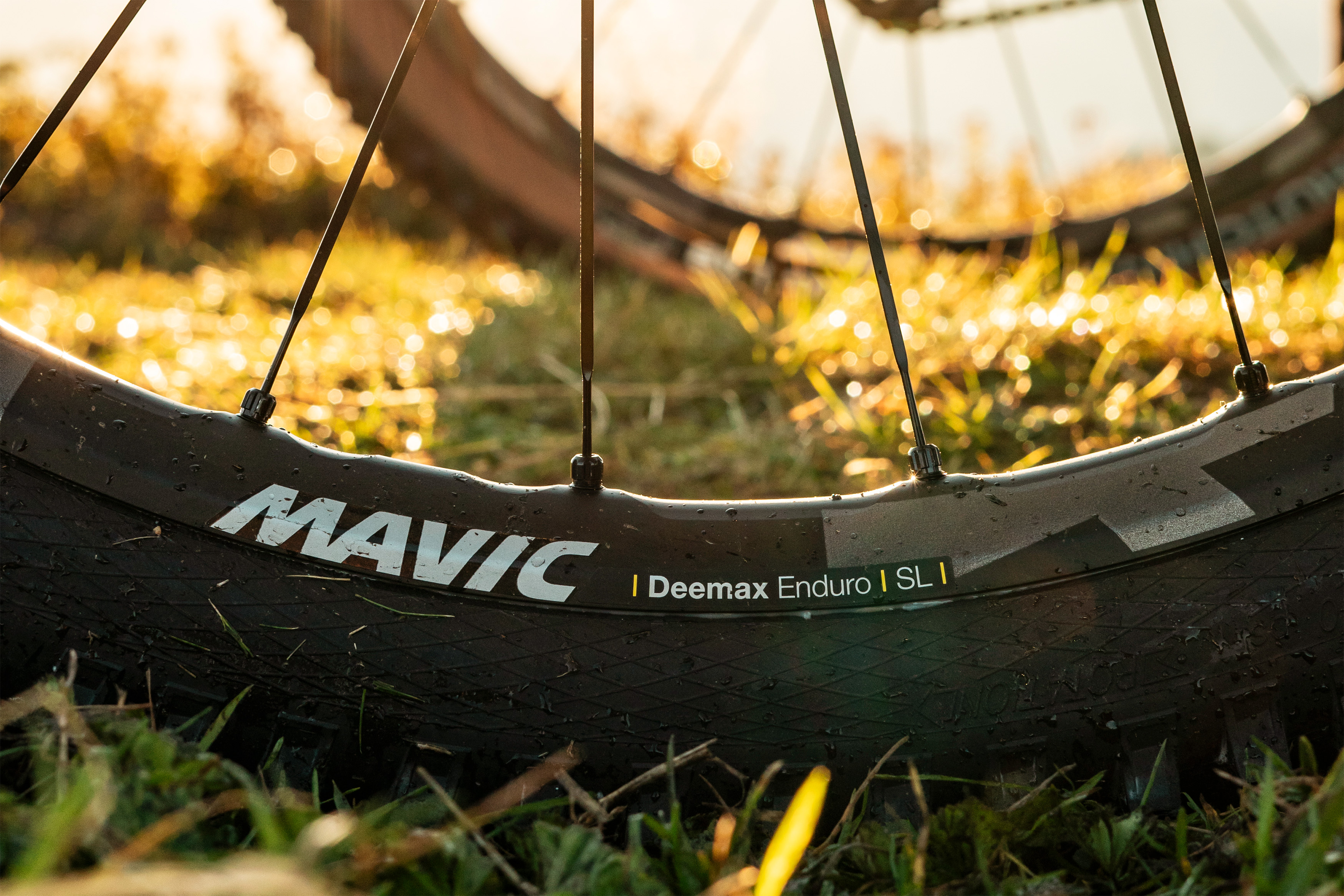 Mavic Deemax Enduro SL Alu-Laufräder: ASTM 5 & Schnellwechselspeichen