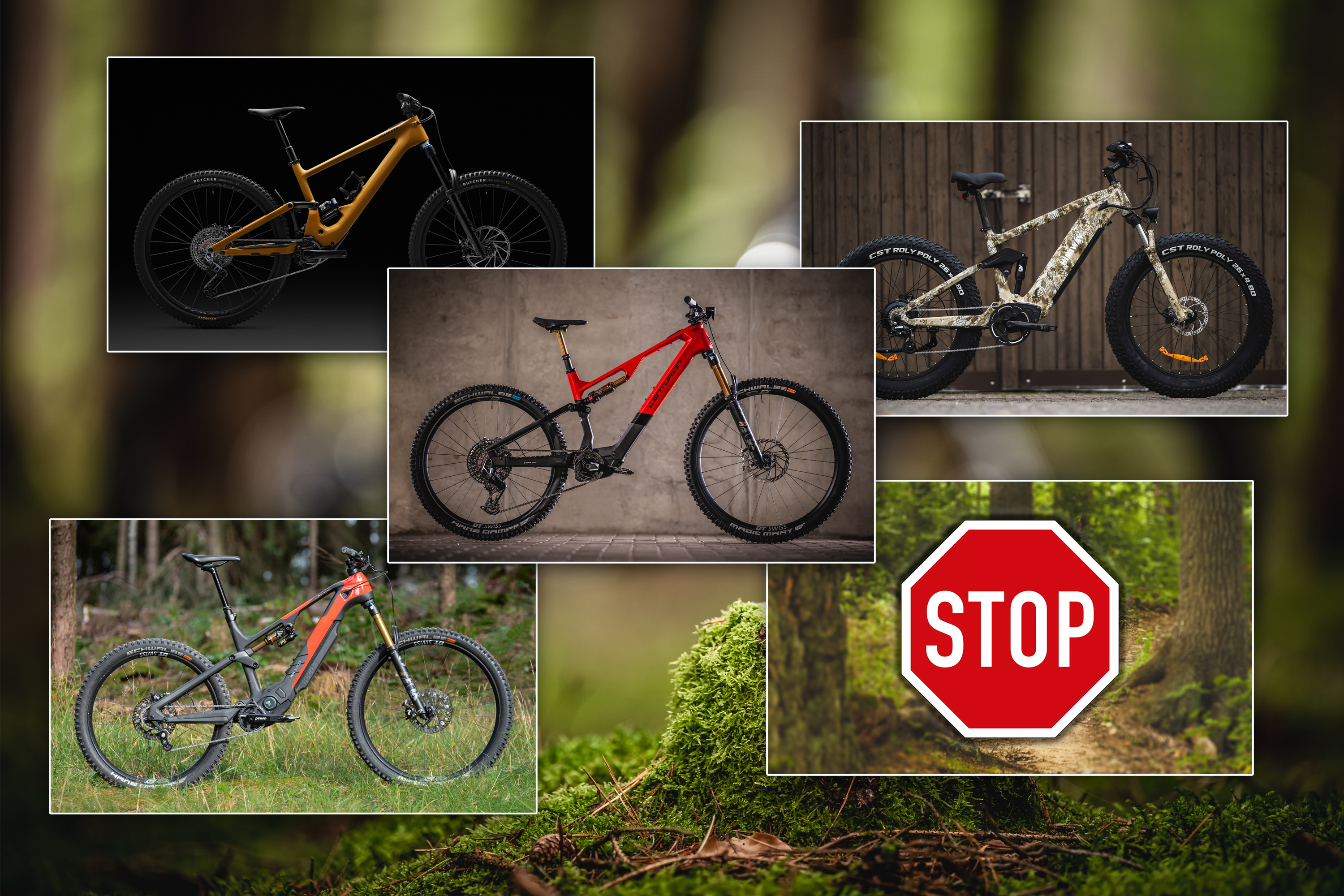 Monatsrückblick November 2023: Ein Gesetzentwurf und vier E-Bikes sind die Highlights des Monats
