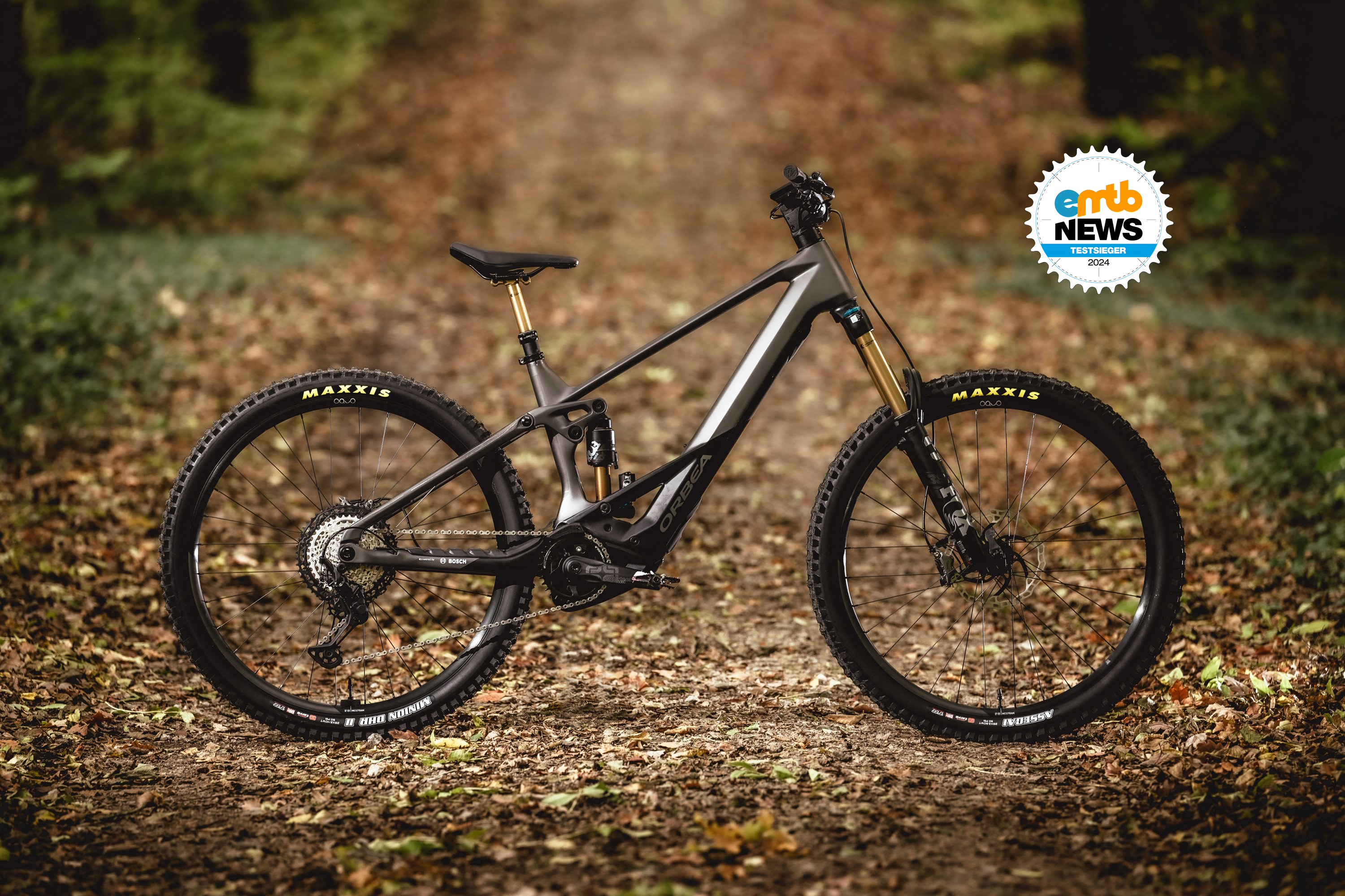 Orbea Wild M-Team im Test: Die leichte Allzweckwaffe aus Spanien