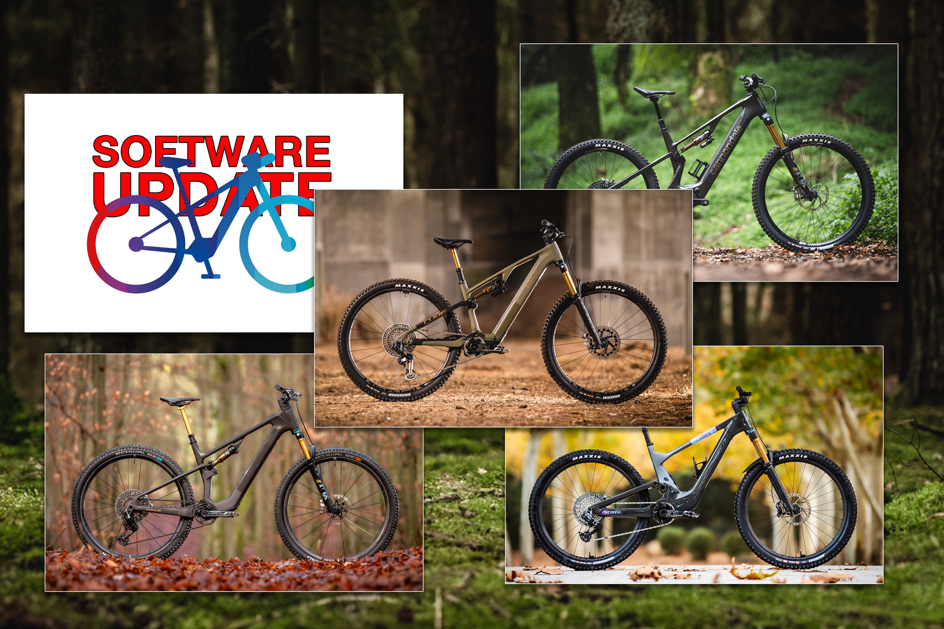 Monatsrückblick – E-Bike-Highlights Februar 2024: 4 neue E-Bikes und ein Update