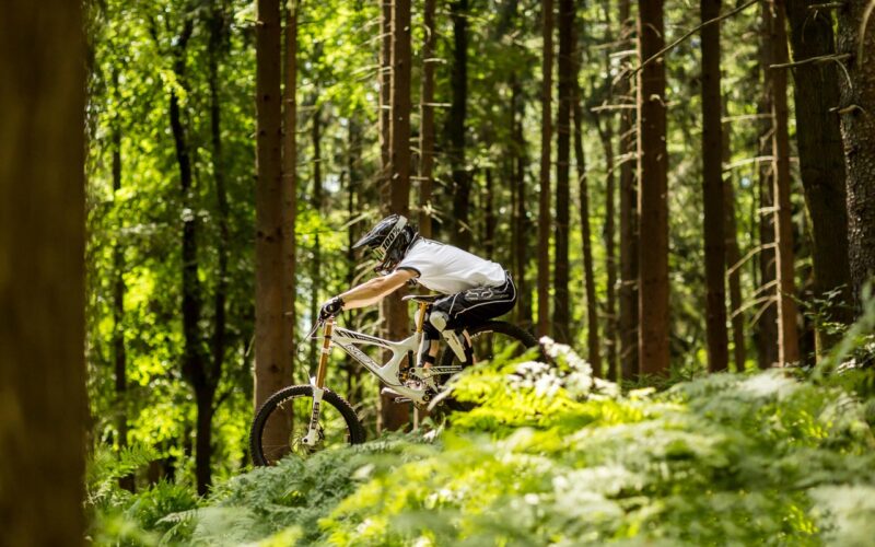 Saisoneröffnung Black Mountain Bikepark: Flowline tested by Günther & Hindrich