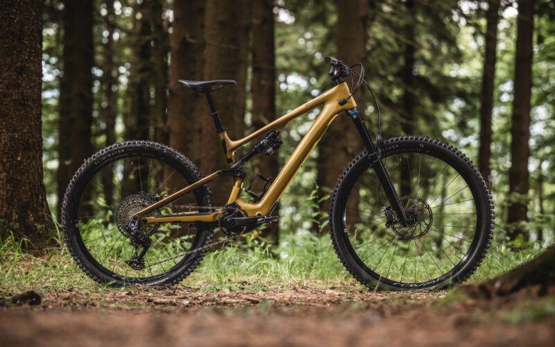 Specialized Levo SL Expert im Test: Das allroundigste Light-E-MTB am Markt?