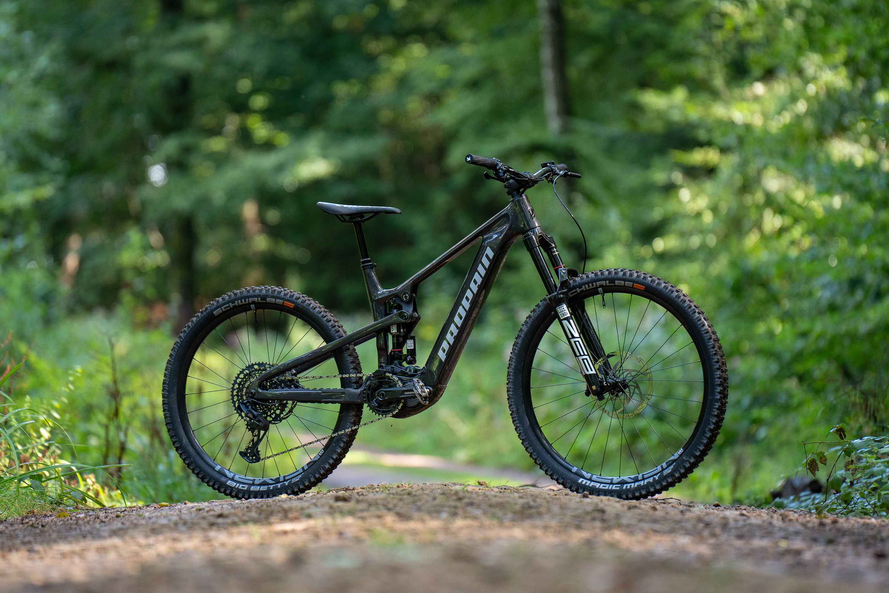 Propain Sresh CF im Test: E-Trailbike mit Bock auf Vollgas