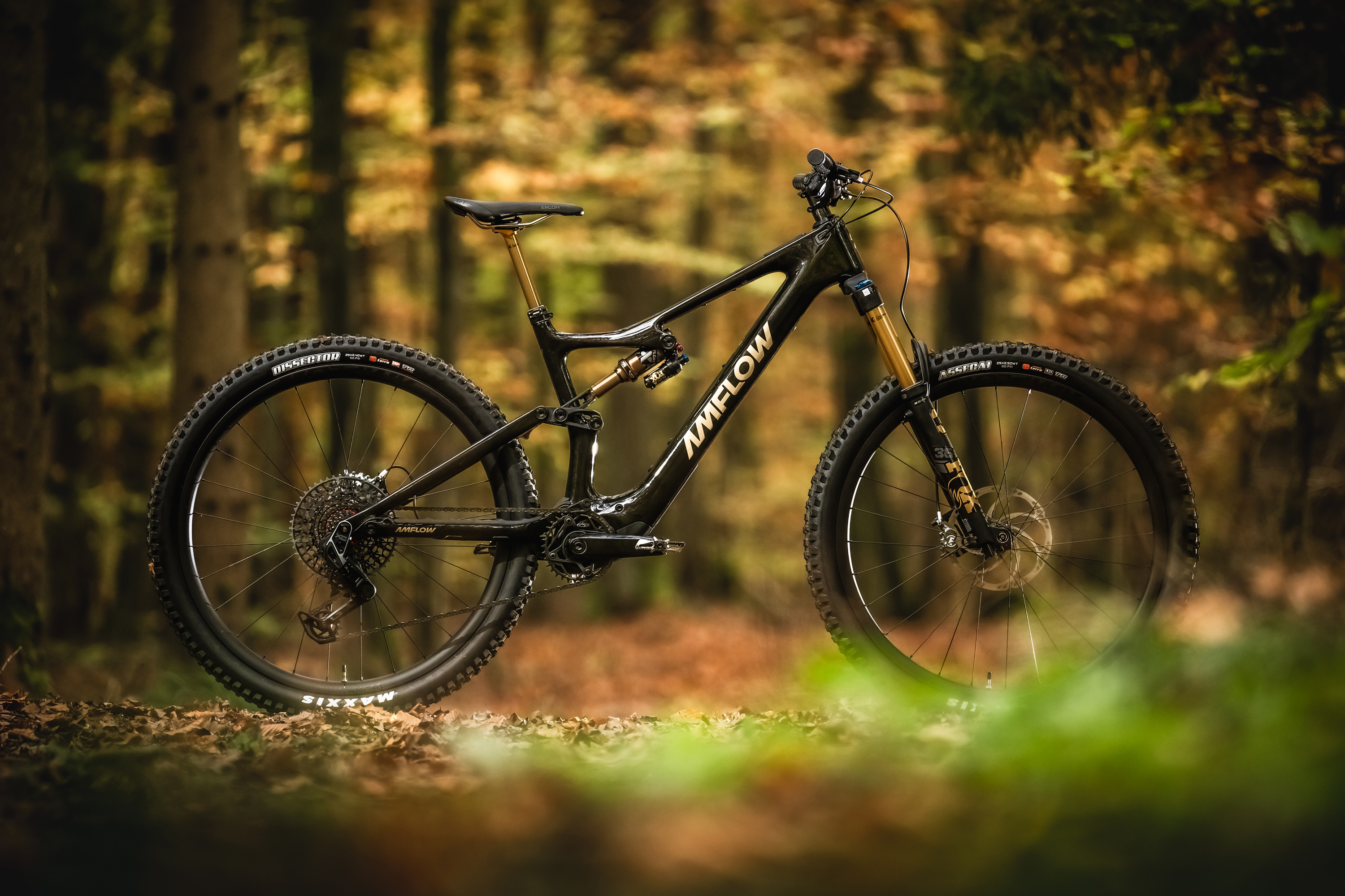 Amflow PL Carbon Pro im Test: DJI-E-Bike – aktuell das beste E-MTB?