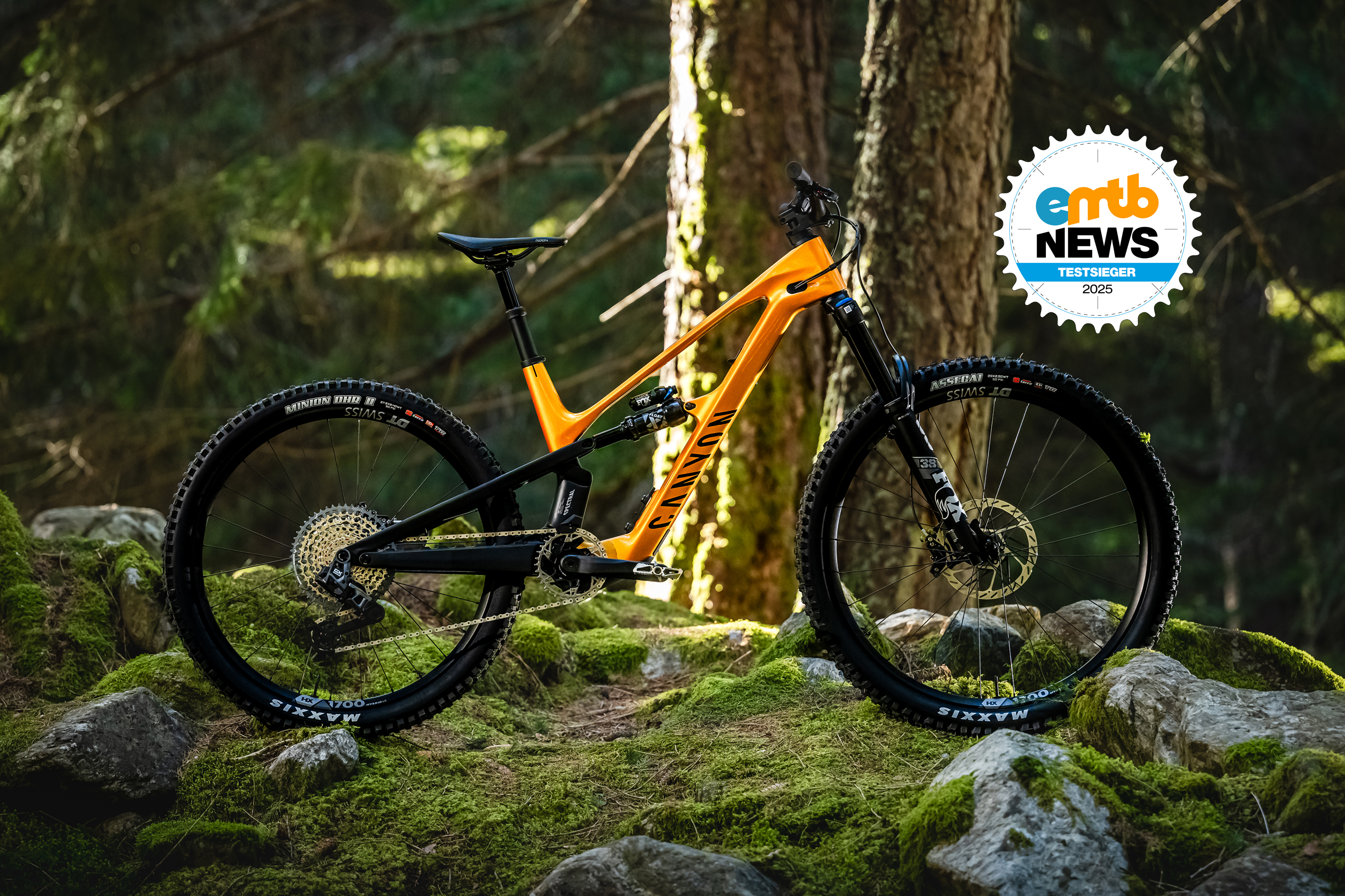 Canyon Spectral:ONfly CF CLLCTV im Test: Testsieg für den Kurvenräuber aus Koblenz 🏆