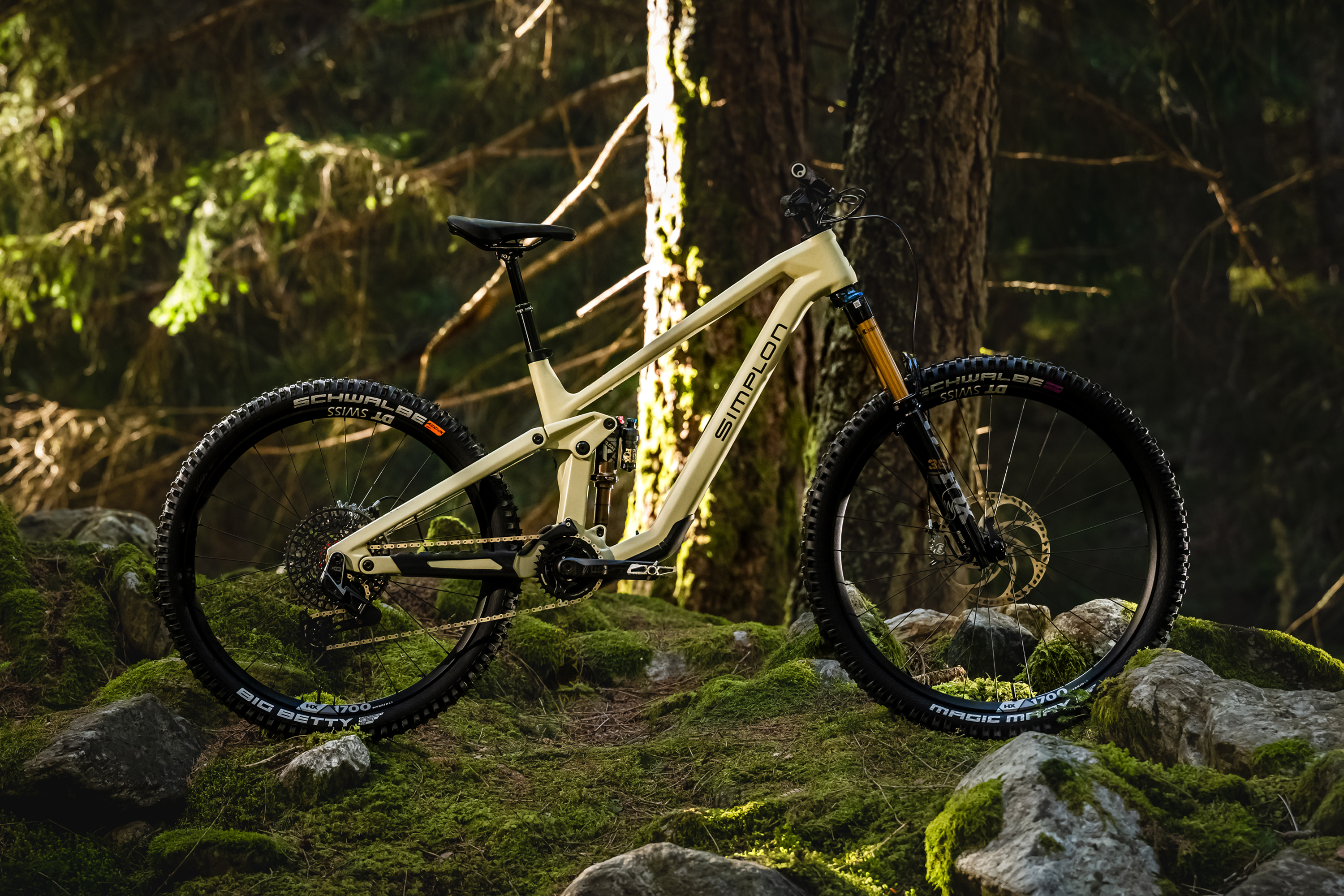 Simplon Rapcon :eTQ Ultimate im Test: Natürlich, spritzig, gut!