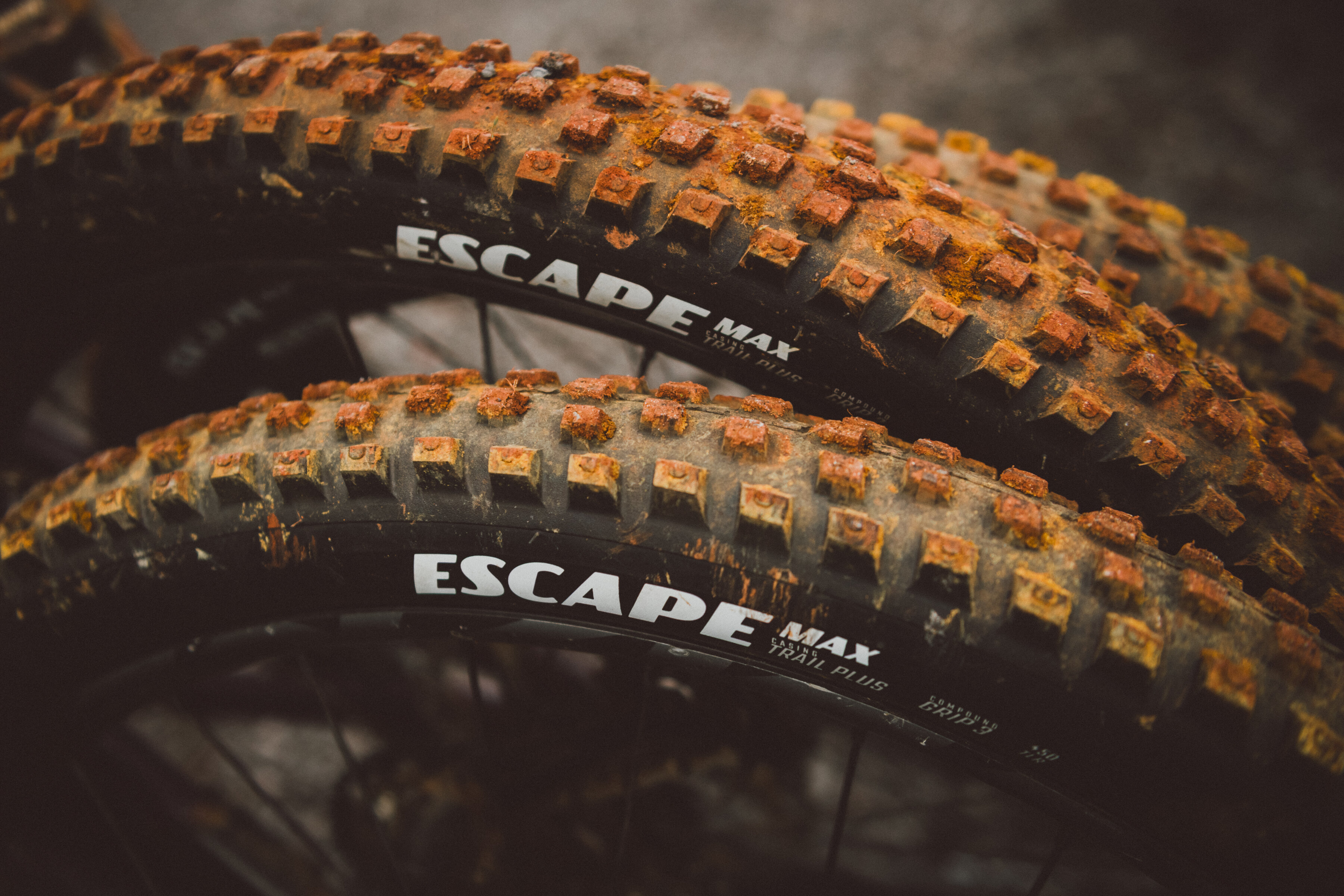 Goodyear Escape Inter und Escape Max: Neue Profile, neue Karkassen, neue Mischungen