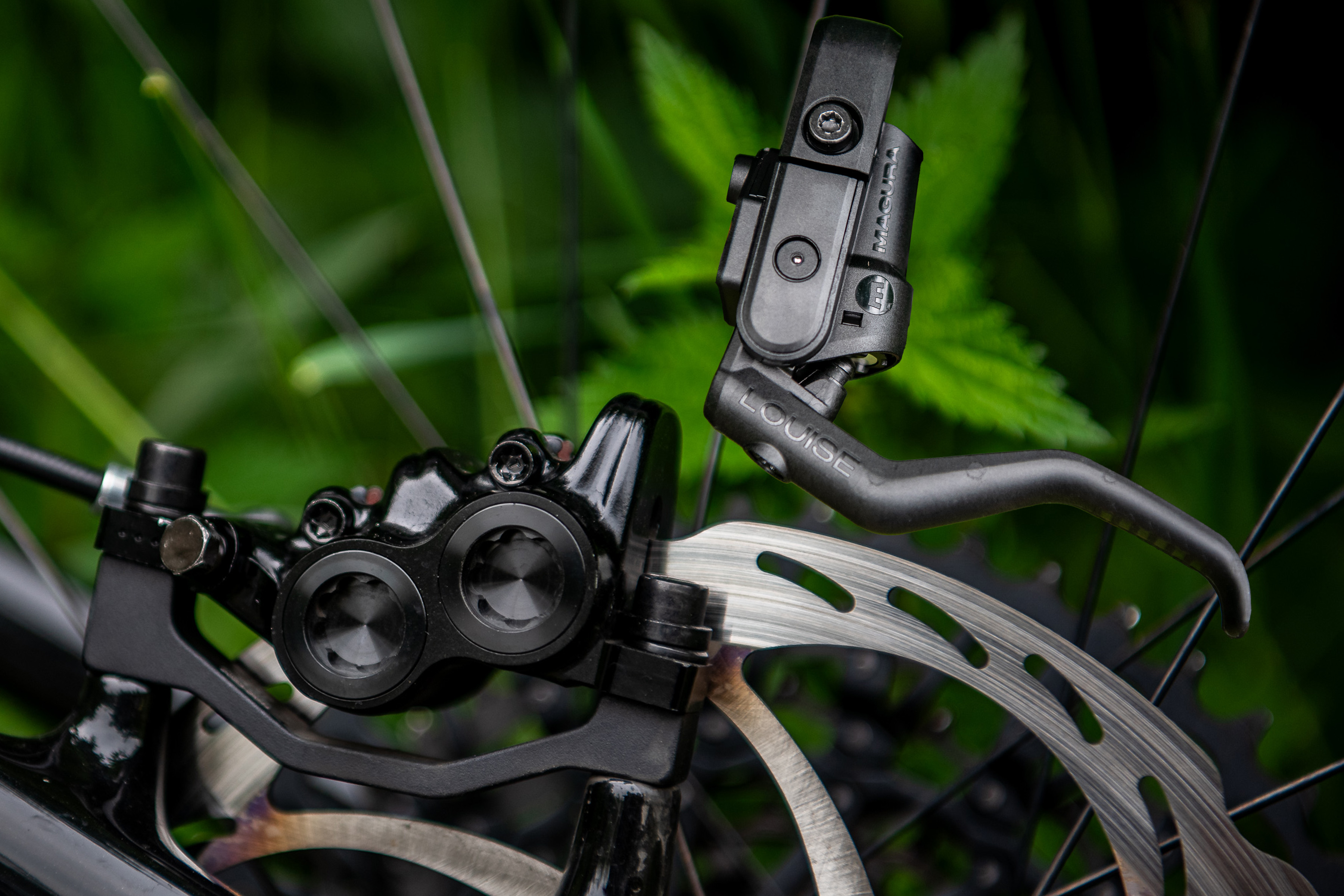 Neue Magura Louise Elite im ersten Test: Die Rückehr eines Klassikers