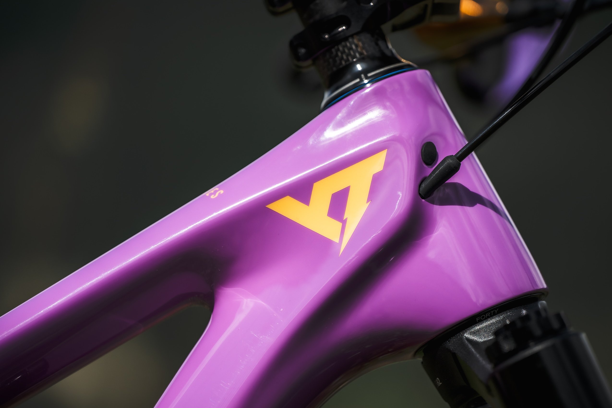 Sanierungsverfahren in Eigenverwaltung: YT Industries sucht neue Investoren