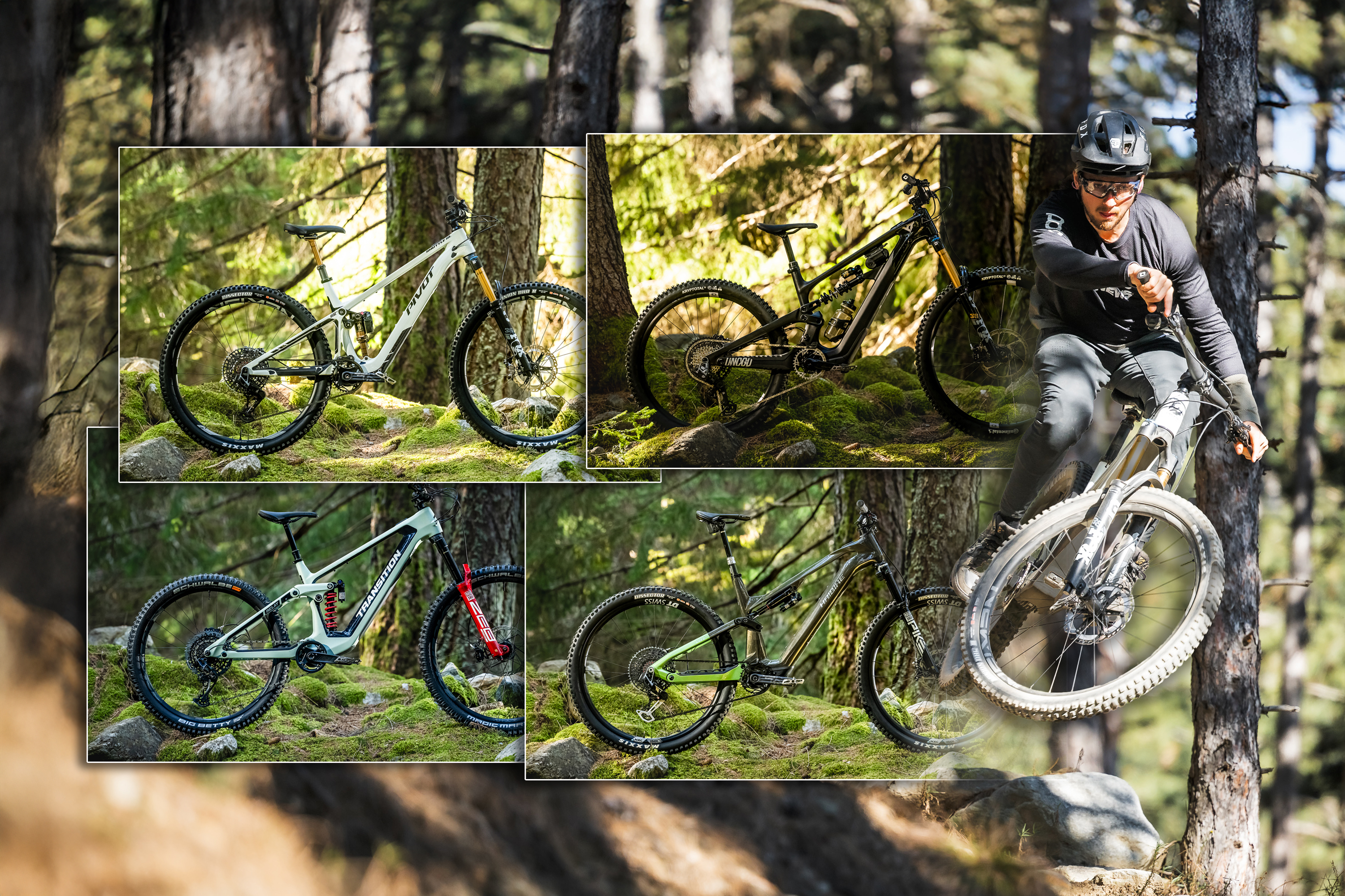 Vergleichstest Light-E-Bikes mit Fazua Ride 60: 4 heiße Kandidaten für den Sieg!