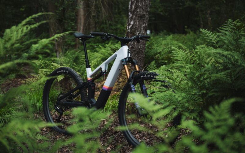 Rose File Plus: Zwei neue Shimano-Modelle für Light-Assist-Fans