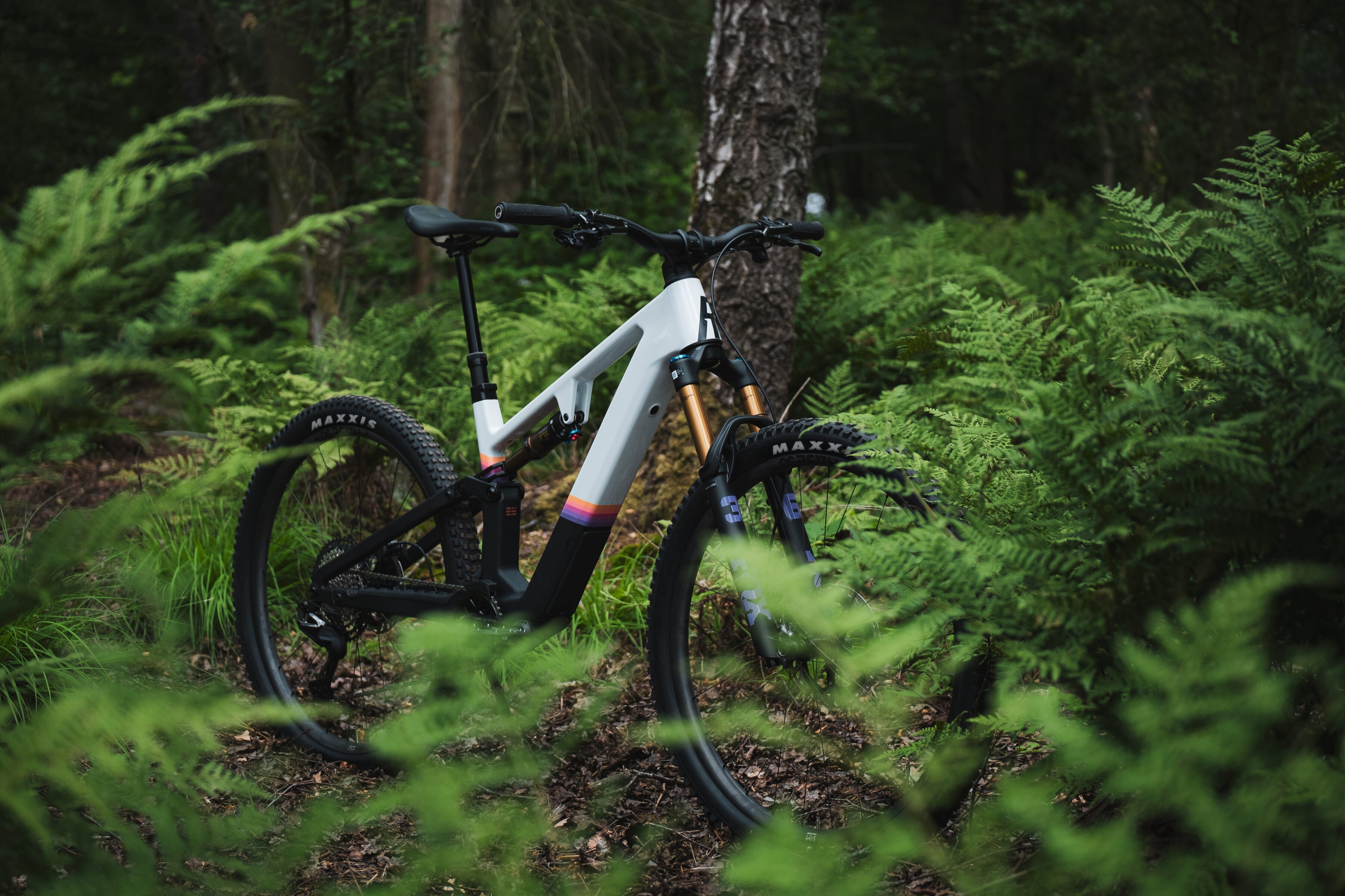 Rose File Plus: Zwei neue Shimano-Modelle für Light-Assist-Fans