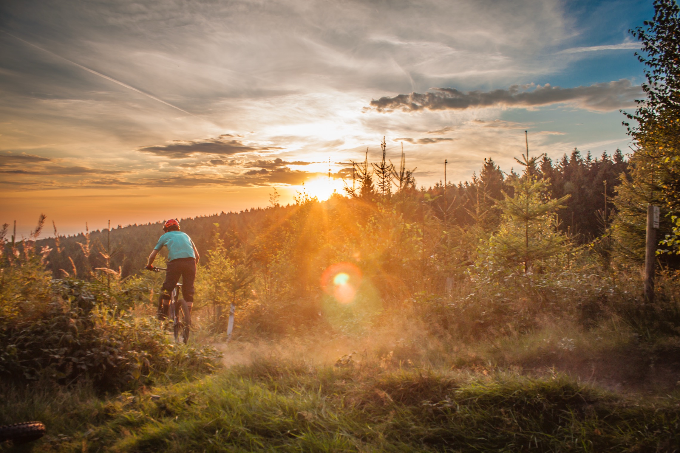 Keine legalen Trails, viel Frust: Die MTB-Realität im Deister – eine Bestandsaufnahme