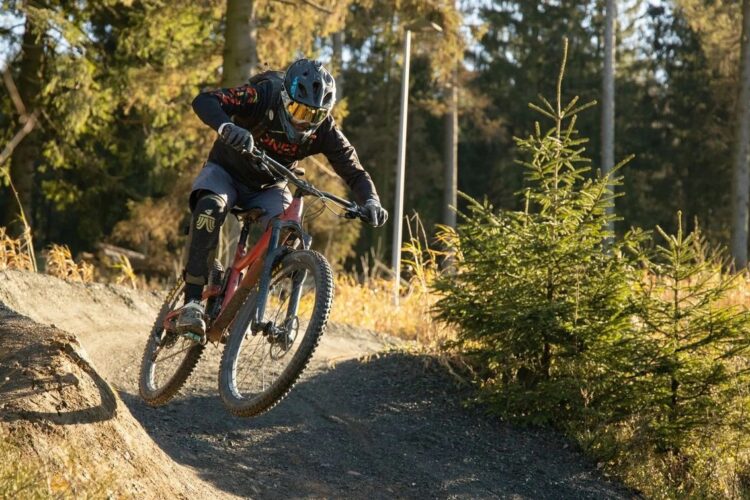 Harz Parks One: Ein Ticket für fünf Bikeparks im Harz