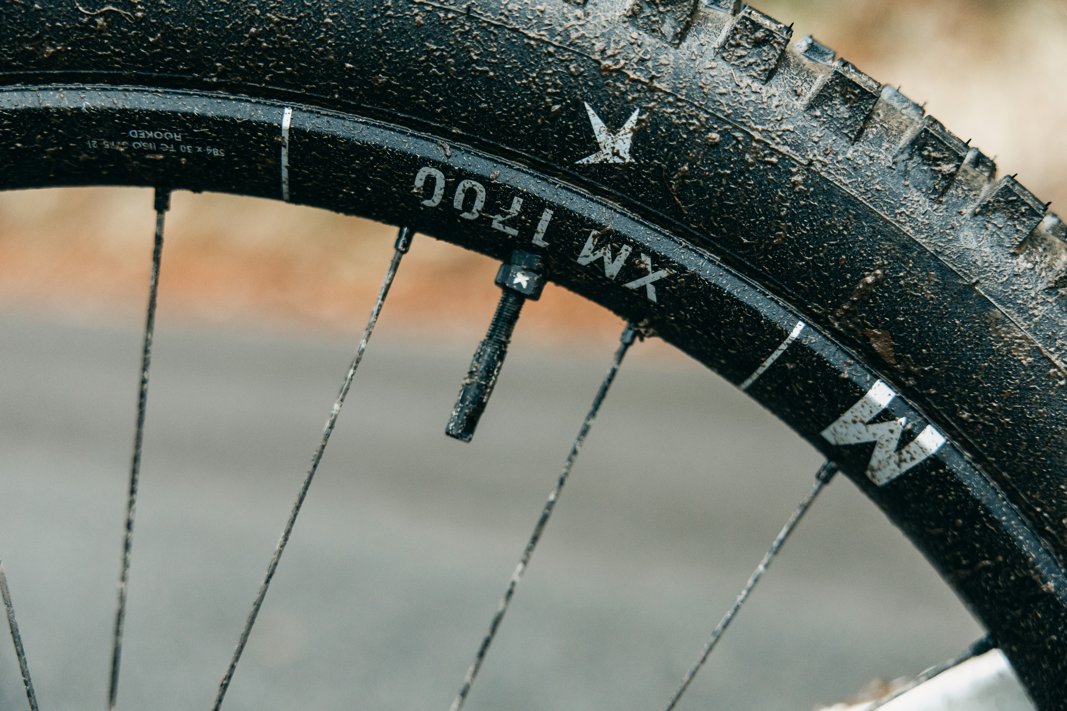 Neue DT Swiss 1700-Serie im Test: Update für die Klassiker von XC bis Enduro