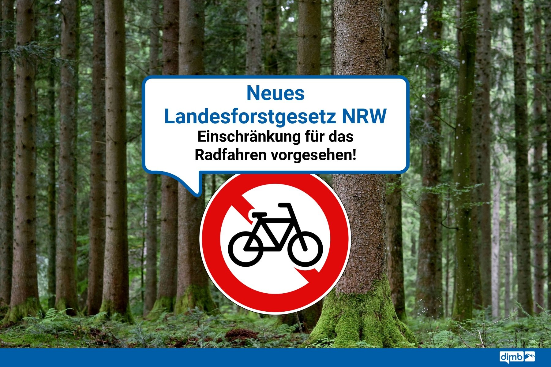 NRW plant striktes Verbot für Mountainbiker: Viele Trails stehen vor dem Aus